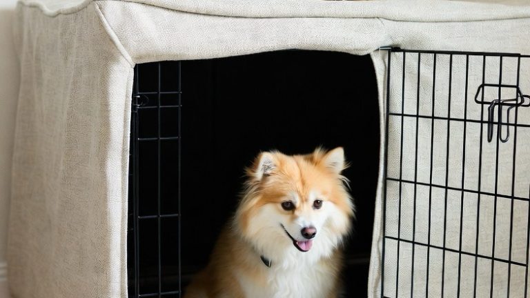 19 DIY Dog Crate Furniture Ideas to Stylishly Hide Your Pet’s Bed