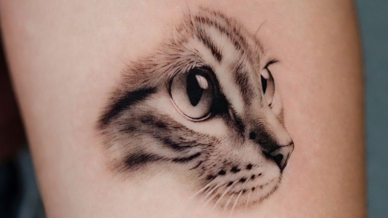 15 Minimalist Cat Tattoo Ideas for the Ultimate Feline Lover