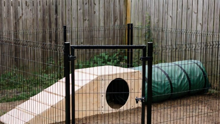 Secure and Scenic: 10 Creative Ways to Build an Outdoor Dog Haven
