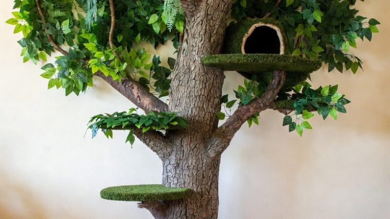 The Enchanted Forest: 10 Magical Cat Trees for Your Home