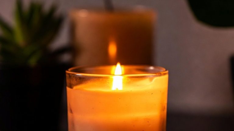 Love Lives On: 10 Meaningful Ways to Honor Your Dog’s Legacy