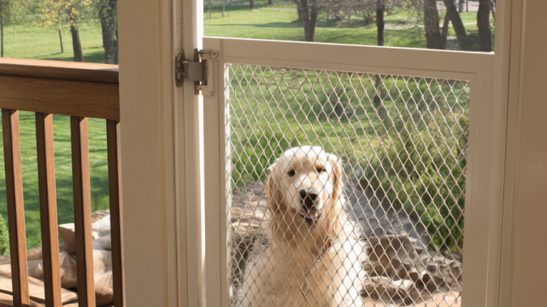 Seamless Transitions: 10 Innovative Dog Door Ideas for Every Entryway