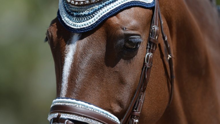10 Creative DIY Horse Projects to Celebrate Your Bond with Your Equine Partner