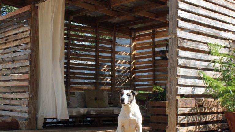 10 Creative Pallet Dog House Designs