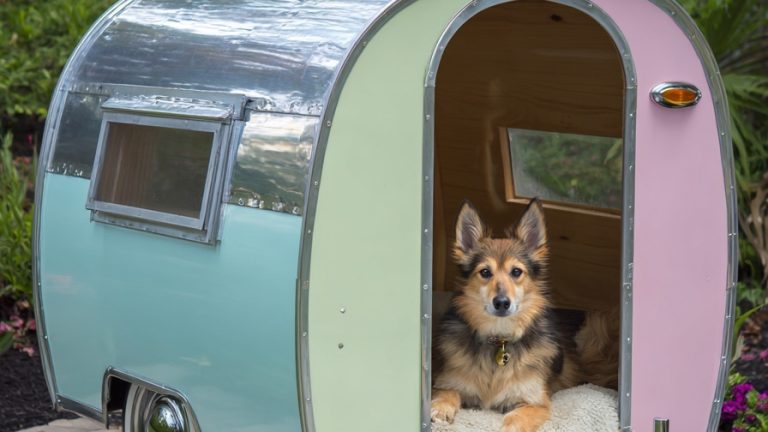 10 Innovative and Stylish Dog House Designs