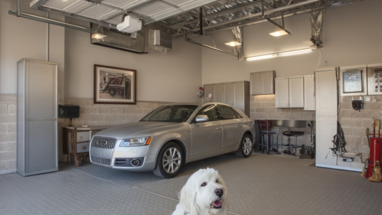 Beyond the Kennel: 10 Sophisticated Dog-Friendly Garage Transformations